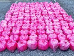 美边境人员查获价值3520万美元冰毒 藏于草莓泥运输车内