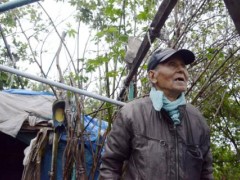 日本无家可归者平均年龄63岁达新高 老龄化趋势凸显
