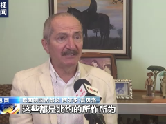 巴西前国防部长：俄乌冲突的罪魁祸首是美国及其北约盟友