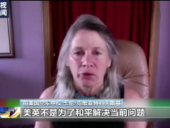 美前空军中校：德向乌提供重型武器的背后是美国及北约施压