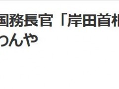 未完成协调布林肯就宣布日本将出席北约峰会，日媒：可被解读为要求日本“参战”