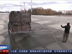 美国鼓动多国向乌克兰输送武器