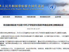 联合国安理会：予以最强烈的谴责！