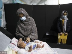 美媒：85%阿富汗难民申请入境美国被拒