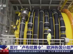 面对卢布结算令 欧洲各国分歧严重