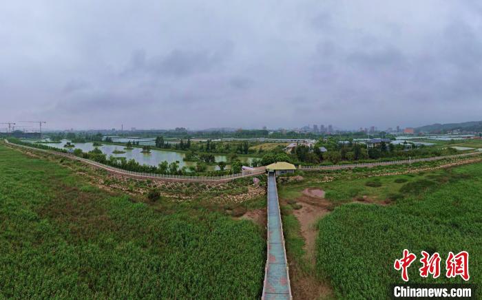 闽江河口湿地位于闽江入海口,是福州近郊保留下来的一片原生性河口三角洲湿地。 王东明 摄