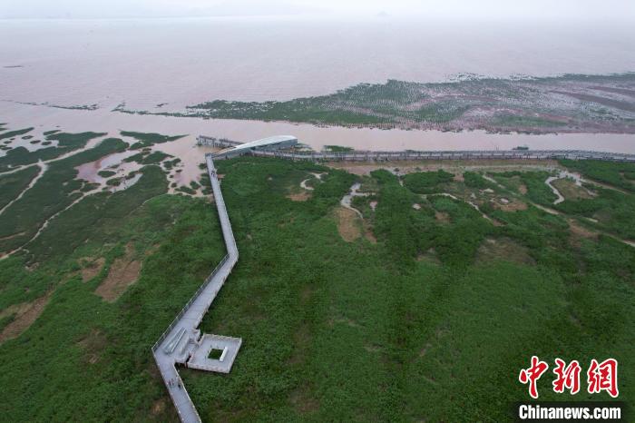 闽江河口湿地集自然景观优美、生物多样性丰富、生态功能多重重要性于一体。 王东明 摄