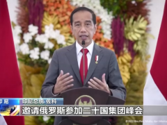 印尼总统邀请俄乌领导人出席G20峰会