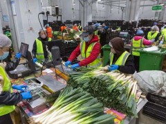 疫情之下，美团寻找最优解