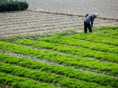 2022年，谁在带火助农直播？