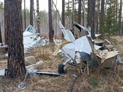 俄罗斯一架载有2人的轻型飞机坠毁 致1死1伤