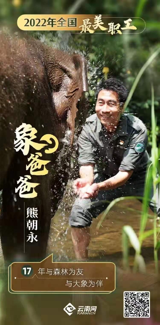 云南“象爸爸”熊朝永17年与森林为友与大象为伴