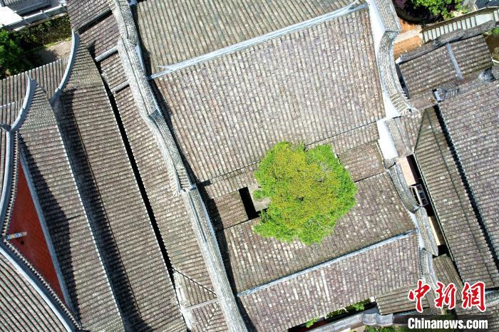 空中俯瞰林阳寺。　王东明 摄
