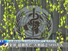 世卫：两年间疫情或致近1500万人死亡