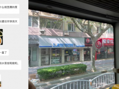 在工作中寻找治愈的上海职场人