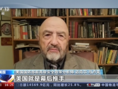 美前官员：美国是乌克兰危机升级幕后推手