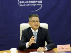 外交部副部长乐玉成在“求和平、促发展：全球20国智库在线对话会”发表主旨演讲