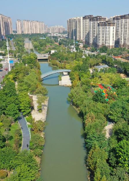 福州流花溪两岸绿意盎然（2020年10月23日摄，无人机照片）。 新华社记者林善传摄