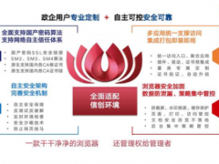 信创、密改双领域的主力军！海泰红莲花国密浏览器