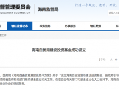 100亿，海南一支母基金招GP