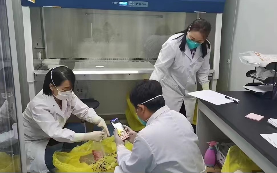 收样组对核酸样本进行核对、录入。顺义区疾控中心供图