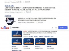 天涯论坛出租多级目录做搜索霸屏