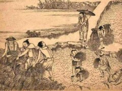 扶贫轶事与王安石“保马法”的梦想