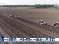 一线调研：应种尽种 一亩地也不撂荒