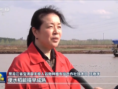 全国春播总体过七成
