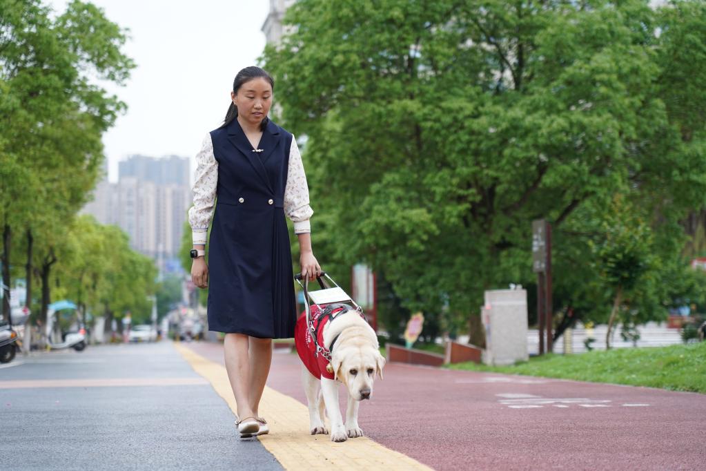　　贾君婷仙带着她的导盲犬爱莎出门。新华社记者 余刚 摄