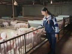 故乡情满心间，人大代表心中那份特别的眷恋