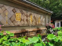 上海奉贤：即日起部分公交恢复运营，部分公园恢复开放