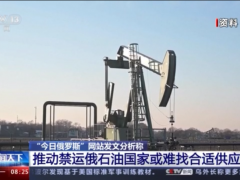 西方推动对俄石油禁运？ 俄媒：将难找到替代国家
