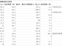 多地4月财政收入大幅下滑 除了疫情还有这个主要因素