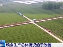 我国粮食生产总体情况趋于改善 粮食供给保持稳定有很多有利条件
