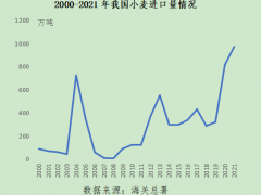 印度禁止小麦出口 业内：对中国冲击可忽略不计