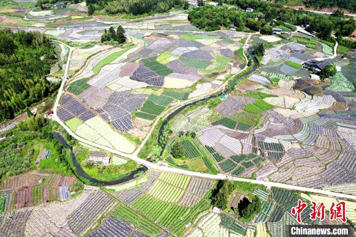 俯瞰大湖乡新塘村蔬菜种植基地,宛如大地调色板。 王东明 摄