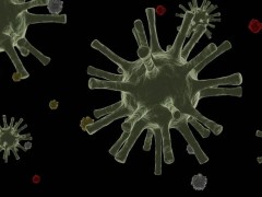 警惕！我国发现首例，传播率至少快23%