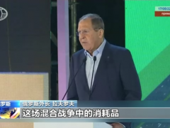 俄外长：西方视乌克兰为战争消耗品