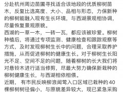 侠客岛：市委书记因“西湖换柳”道歉，此事值得深思