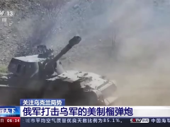 俄军打击乌军美制榴弹炮