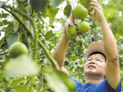 路通经济活 产业促增收