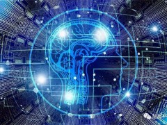 打造个人IP，是否需要付费报名学习？