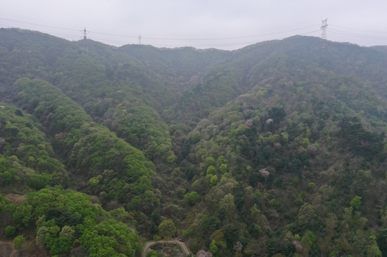 韩国走鱼寺一带俯瞰图(韩联社)