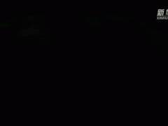 微纪录片｜战在“疫”线 情暖京华