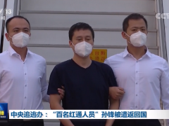 中央追逃办：“百名红通人员”孙锋被遣返回国