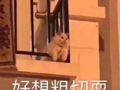 云游我大中国！“种草”清单有那那那那那那……么长