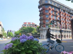4月经济指标全面回落，中央强调新举措能出尽出丨一周热点回顾