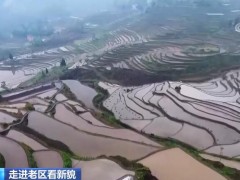 【走进老区看新貌】重庆酉阳：大自然的调色盘 村民们的致富田
