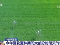 中央气象台：今年夏收夏种期间大部分时段天气较好 利于夏收夏种